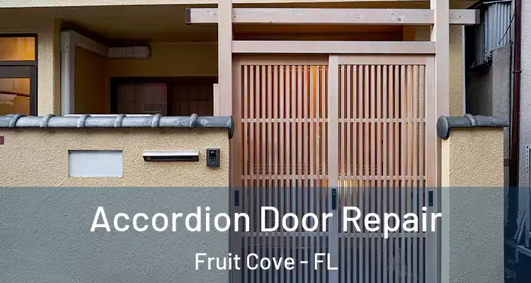  Accordion Door Repair Fruit Cove - FL
