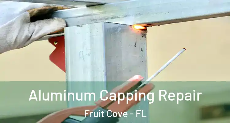  Aluminum Capping Repair Fruit Cove - FL