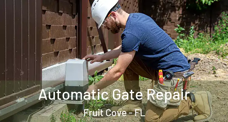  Automatic Gate Repair Fruit Cove - FL