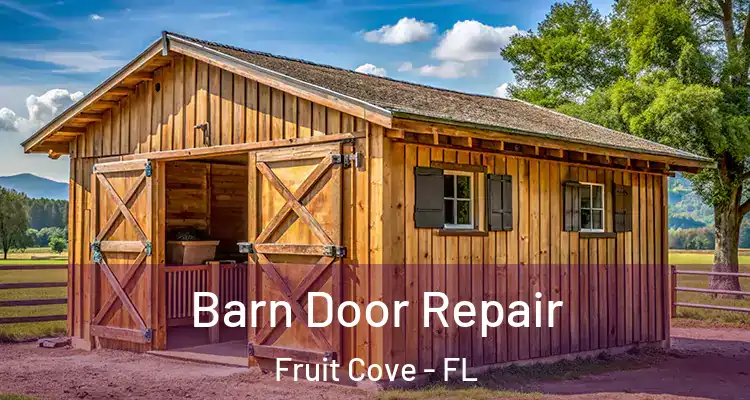 Barn Door Repair Fruit Cove - FL