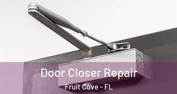  Door Closer Repair Fruit Cove - FL