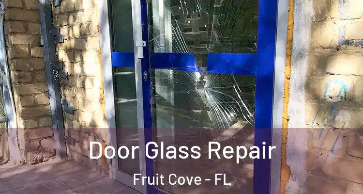  Door Glass Repair Fruit Cove - FL