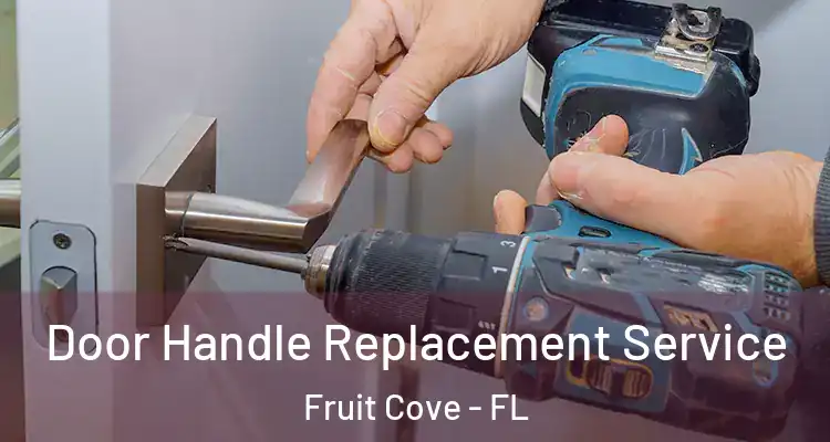  Door Handle Replacement Service Fruit Cove - FL