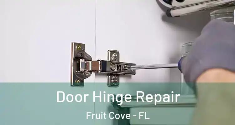  Door Hinge Repair Fruit Cove - FL