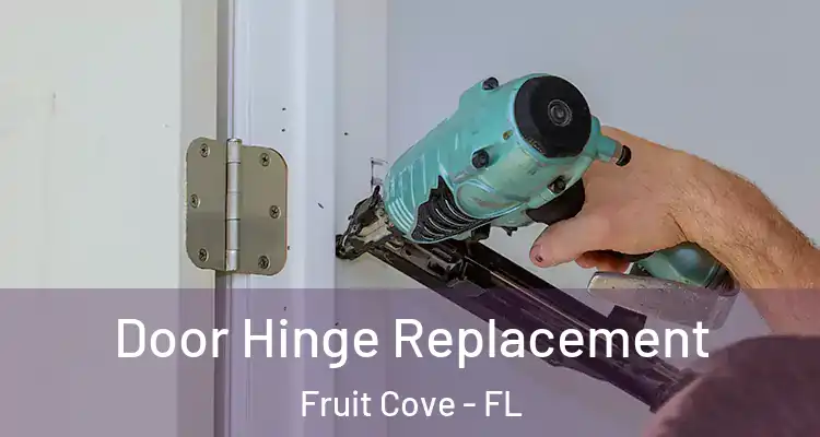  Door Hinge Replacement Fruit Cove - FL