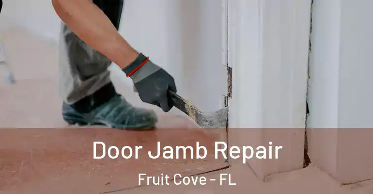  Door Jamb Repair Fruit Cove - FL