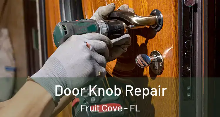  Door Knob Repair Fruit Cove - FL