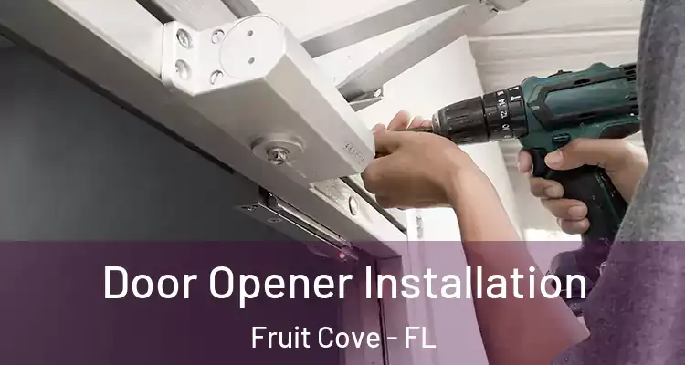  Door Opener Installation Fruit Cove - FL