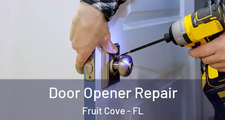  Door Opener Repair Fruit Cove - FL