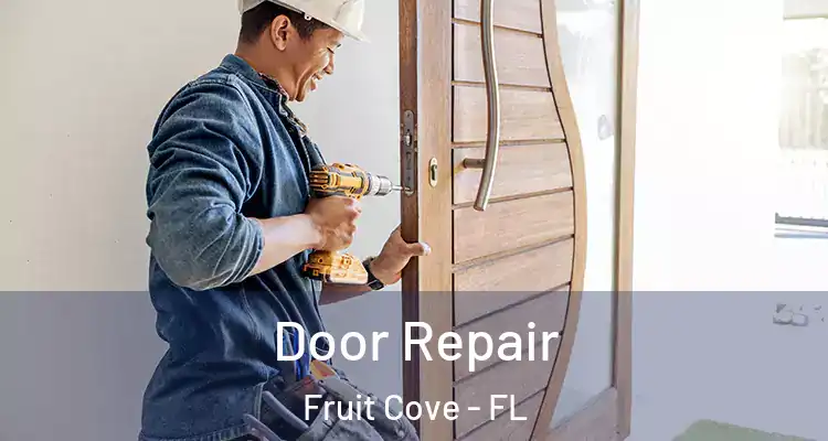  Door Repair Fruit Cove - FL