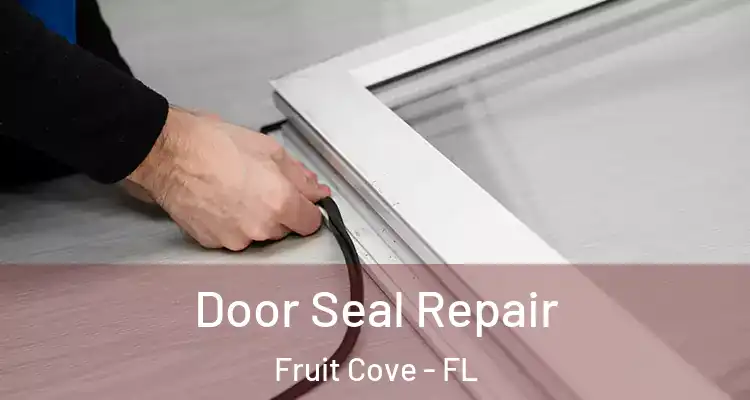  Door Seal Repair Fruit Cove - FL