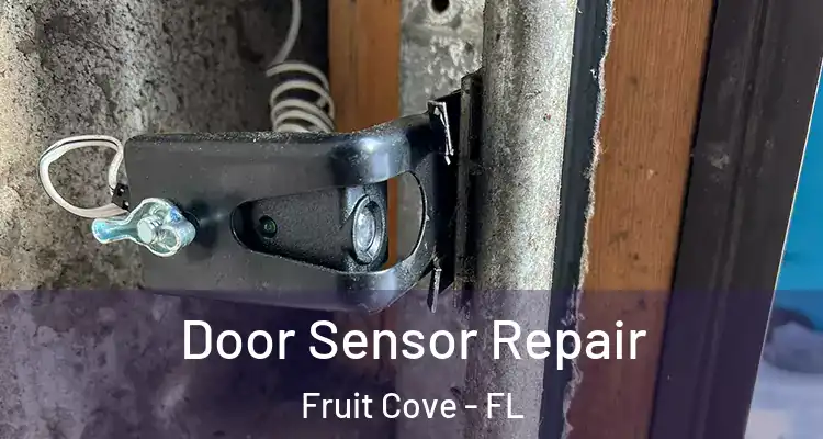  Door Sensor Repair Fruit Cove - FL