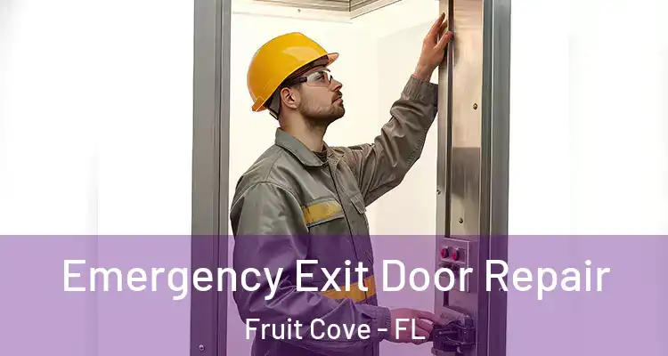  Emergency Exit Door Repair Fruit Cove - FL