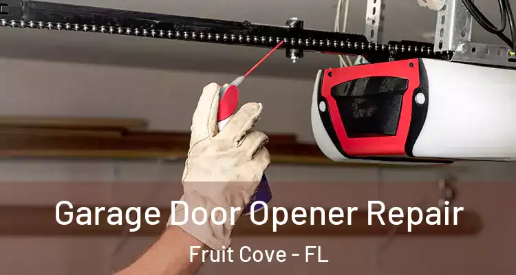  Garage Door Opener Repair Fruit Cove - FL