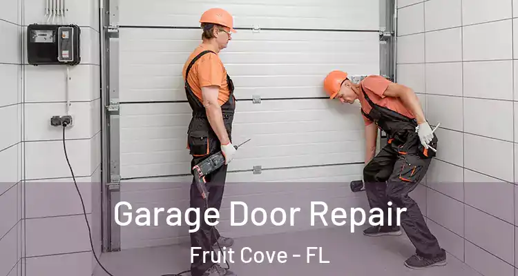  Garage Door Repair Fruit Cove - FL