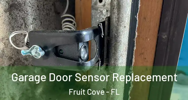  Garage Door Sensor Replacement Fruit Cove - FL
