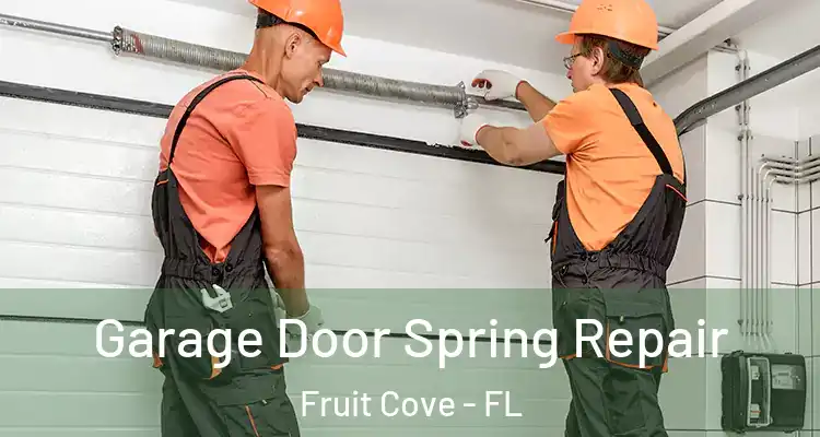  Garage Door Spring Repair Fruit Cove - FL