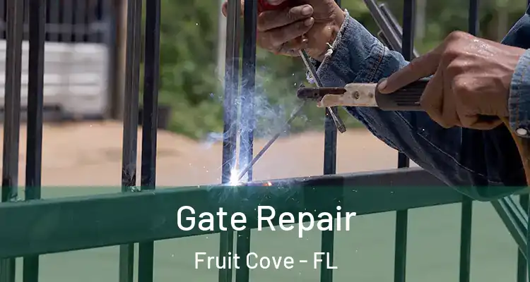  Gate Repair Fruit Cove - FL