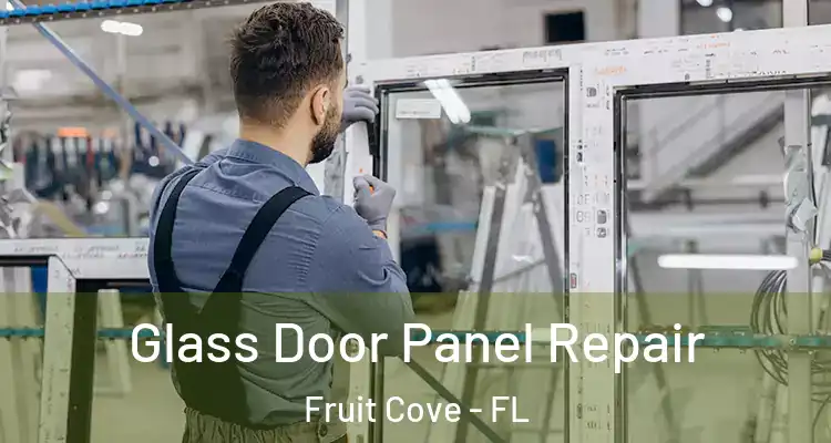  Glass Door Panel Repair Fruit Cove - FL