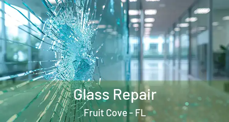  Glass Repair Fruit Cove - FL