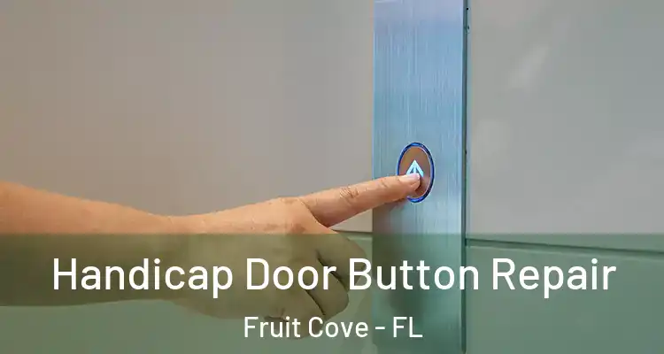  Handicap Door Button Repair Fruit Cove - FL
