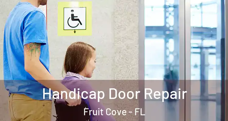  Handicap Door Repair Fruit Cove - FL