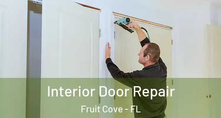 Interior Door Repair Fruit Cove - FL