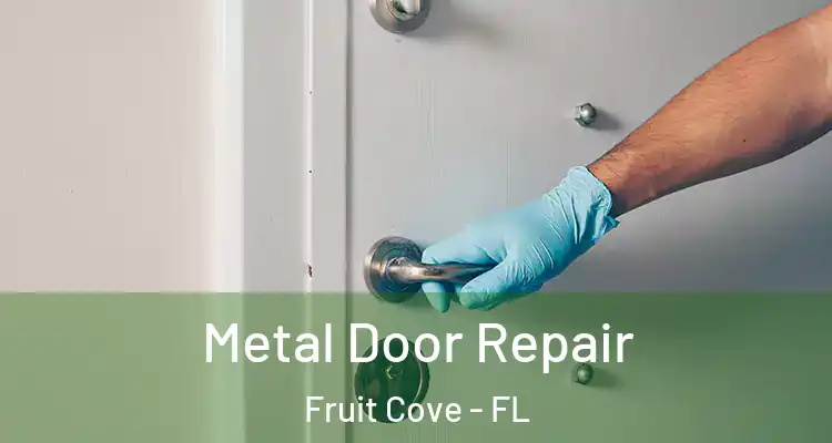  Metal Door Repair Fruit Cove - FL