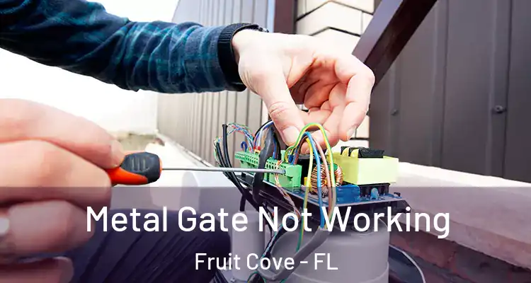  Metal Gate Not Working Fruit Cove - FL