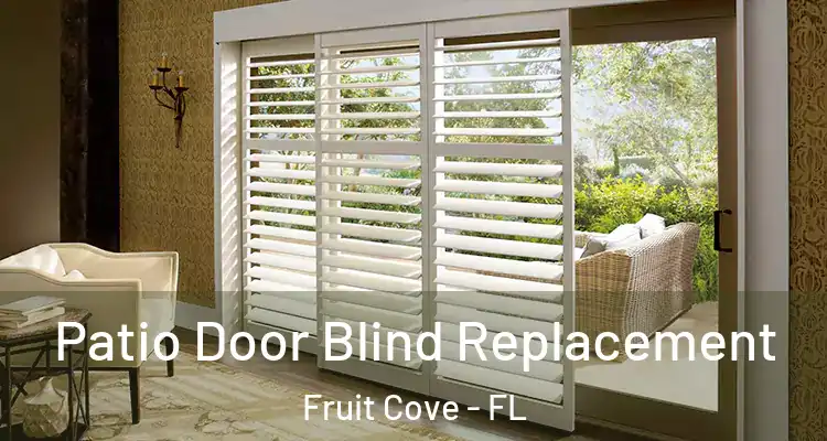  Patio Door Blind Replacement Fruit Cove - FL