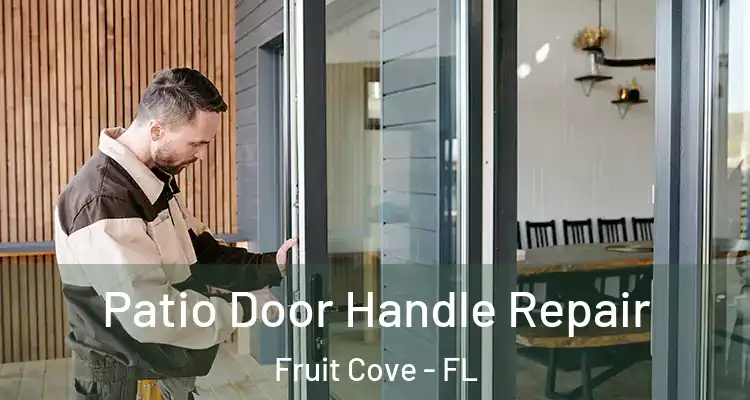  Patio Door Handle Repair Fruit Cove - FL