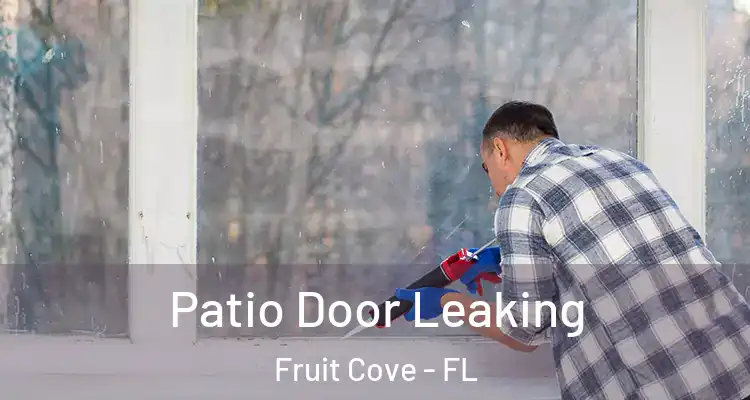  Patio Door Leaking Fruit Cove - FL