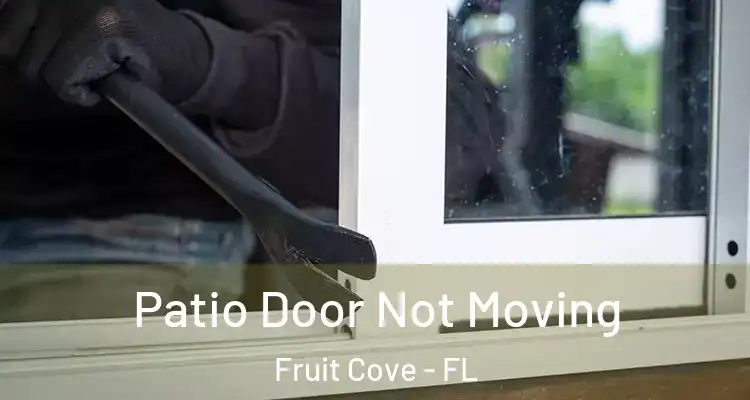  Patio Door Not Moving Fruit Cove - FL