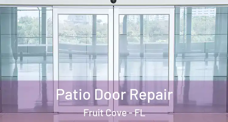 Patio Door Repair Fruit Cove - FL