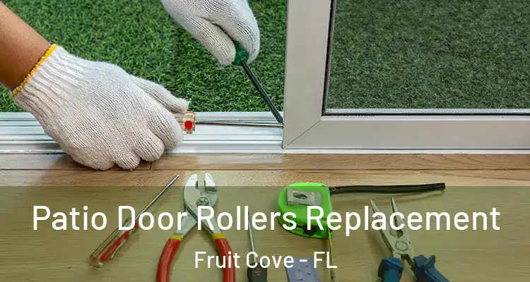  Patio Door Rollers Replacement Fruit Cove - FL