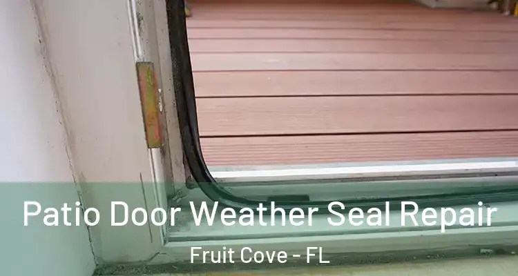  Patio Door Weather Seal Repair Fruit Cove - FL