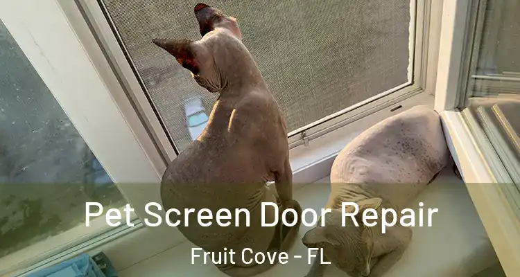  Pet Screen Door Repair Fruit Cove - FL
