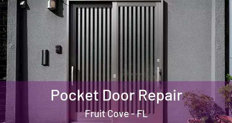  Pocket Door Repair Fruit Cove - FL