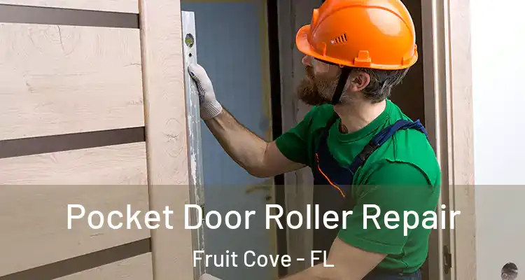  Pocket Door Roller Repair Fruit Cove - FL