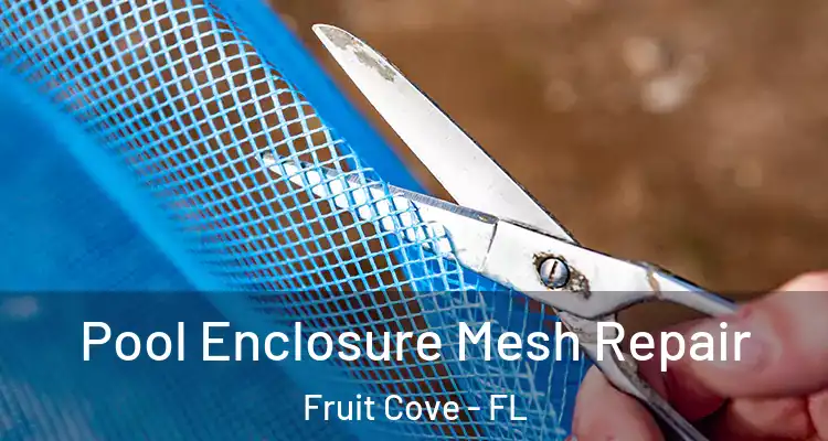  Pool Enclosure Mesh Repair Fruit Cove - FL