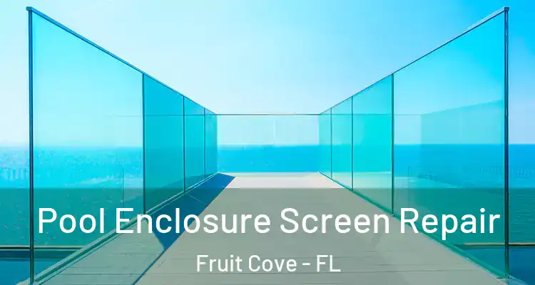  Pool Enclosure Screen Repair Fruit Cove - FL