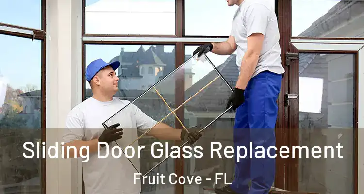  Sliding Door Glass Replacement Fruit Cove - FL