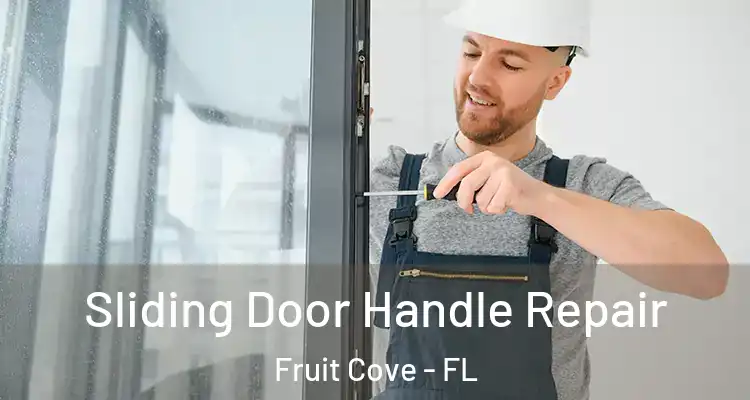  Sliding Door Handle Repair Fruit Cove - FL