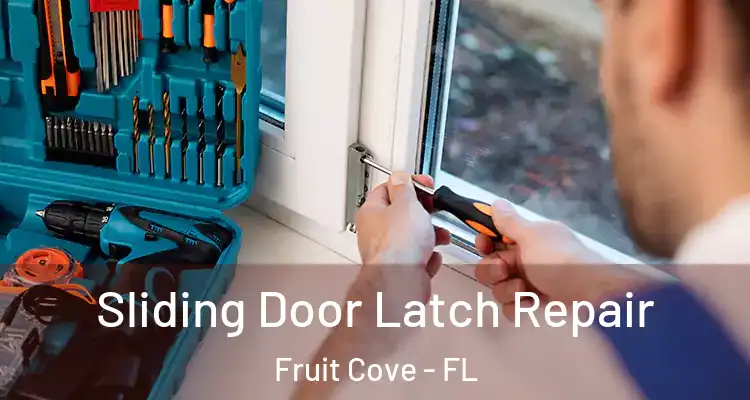  Sliding Door Latch Repair Fruit Cove - FL