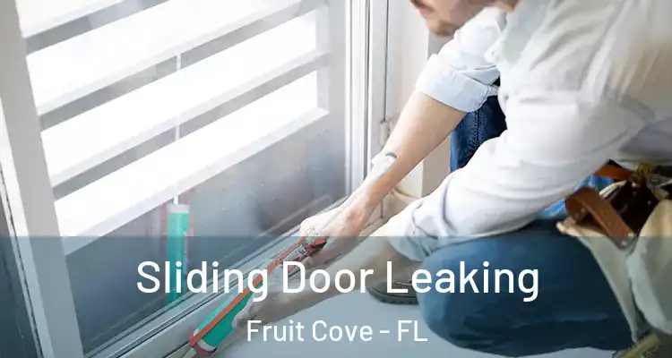  Sliding Door Leaking Fruit Cove - FL