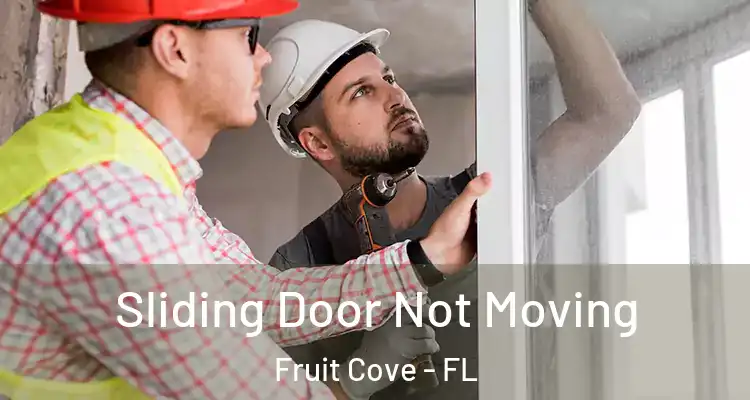  Sliding Door Not Moving Fruit Cove - FL