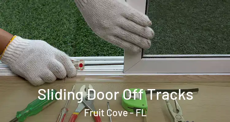  Sliding Door Off Tracks Fruit Cove - FL