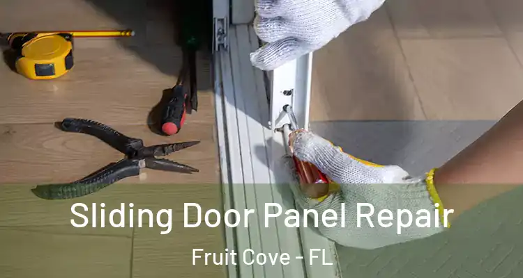  Sliding Door Panel Repair Fruit Cove - FL