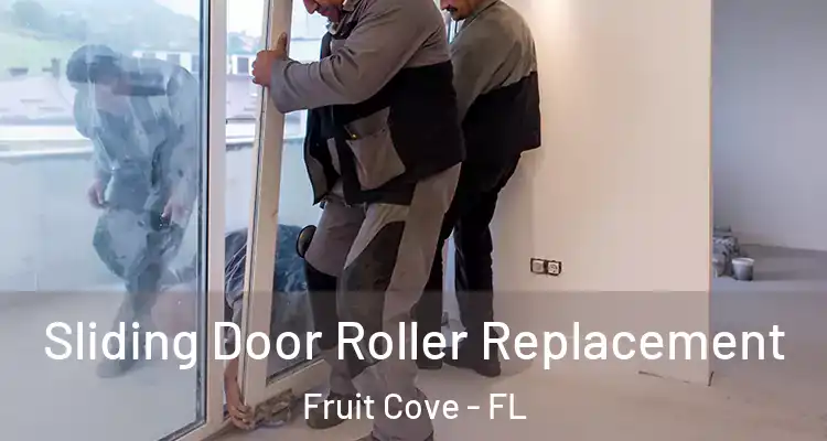  Sliding Door Roller Replacement Fruit Cove - FL