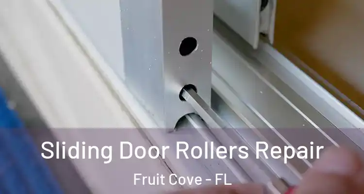 Sliding Door Rollers Repair Fruit Cove - FL